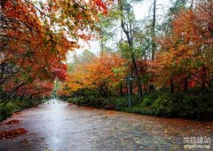 望城網(wǎng)站設(shè)計(jì)應(yīng)該怎么做?